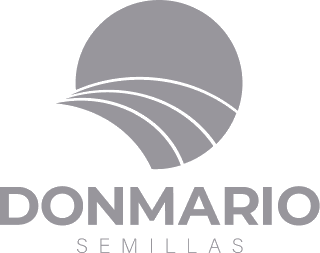 Donmario